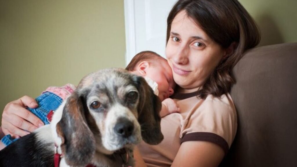 10 Weird Things Dogs Do When They're Jealous, Says a Vet