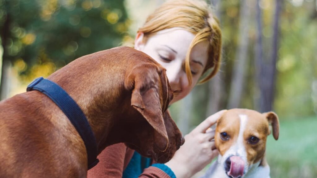 10 Weird Things Dogs Do When They're Jealous, Says a Vet