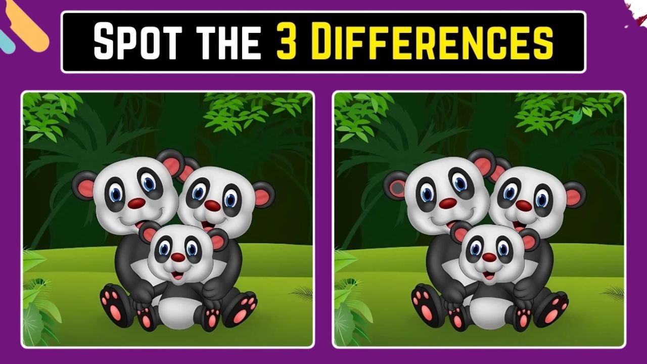Optical Illusion Spot the Difference Game: Only the sharpest eyes can spot 3 differences in this panda image in 6 seconds